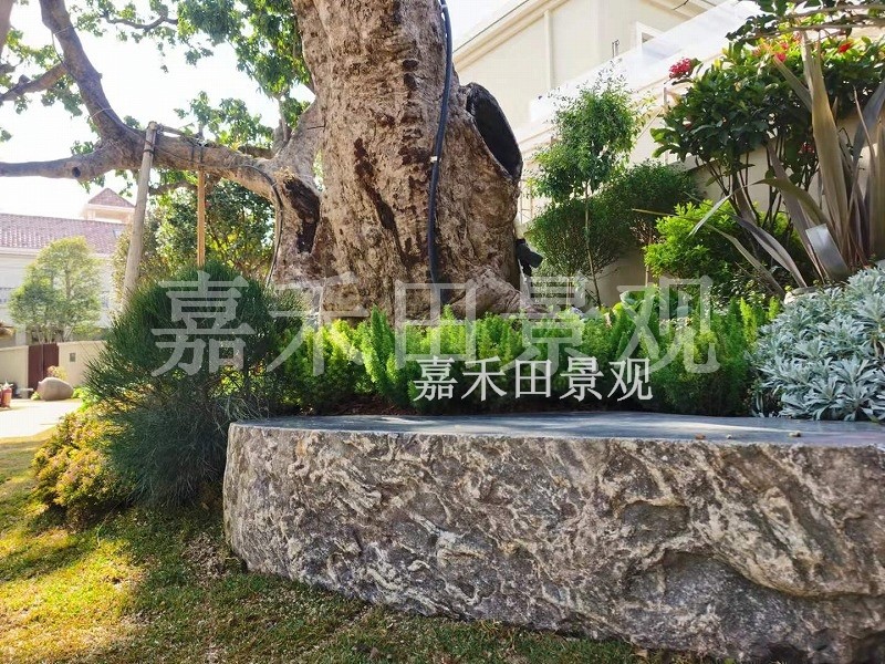 樹木在園林景觀設計中有哪些作用？